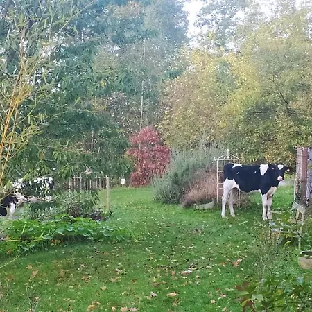 Country house La Bruyere Du Coq Stables Sart-Dames-Avelines