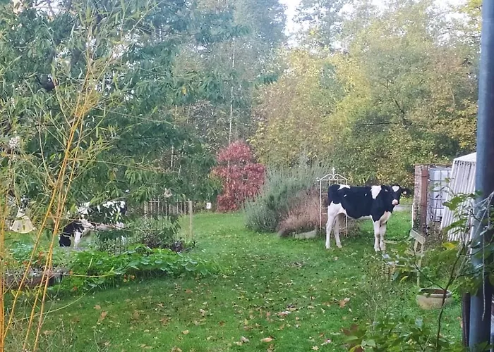 Landhaus La Bruyere Du Coq Stables Sart-Dames-Avelines